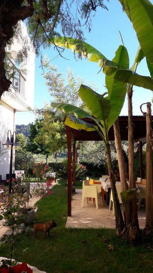 Rosadipepe Appartement Ripatransone Buitenkant foto